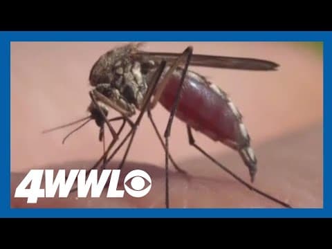 What makes you attractive to mosquitoes