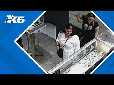 Two women wanted in local crime spree