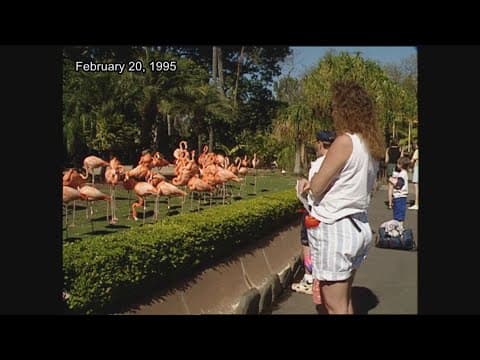 Throwback Thursday--2 stories from February 20, 1995