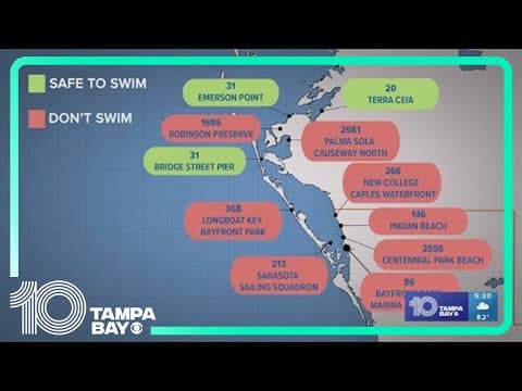 Study: 2 weeks after Debby, bodies of water in Sarasota, Manatee still have dangerous levels of bact