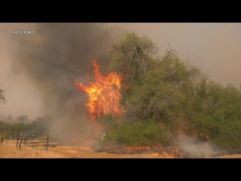 Wildfires burning on the West Coast