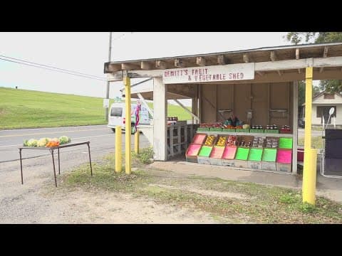 Spotlight: Fruits, vegetables and a century-old legacy