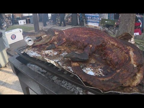 Yes, that's a smoked alligator at the Houston rodeo cook-off