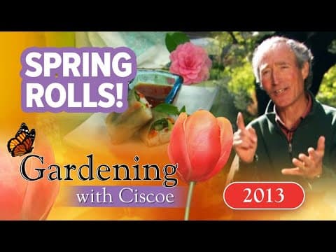 SPRING ROLLS! Make Your Own At Home! | Gardening With Ciscoe | Full Episode