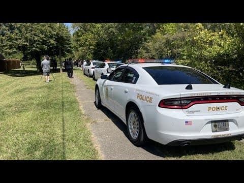 Chief on how IMPD connected ride-share driver to missing woman's killing