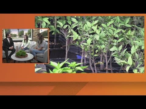 Maryville nonprofit celebrates 15 years of helping students with special needs gain job skills