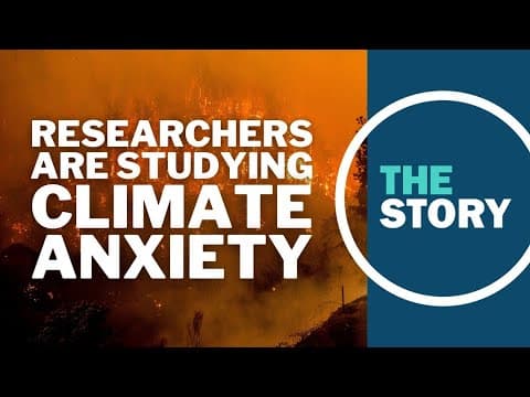 Researchers are studying climate anxiety. Here's how you can help