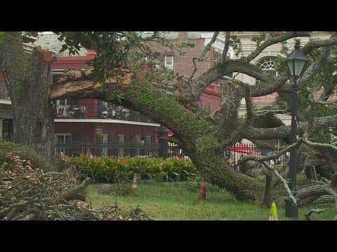 Teen critical after oak tree snaps in Jackson Square
