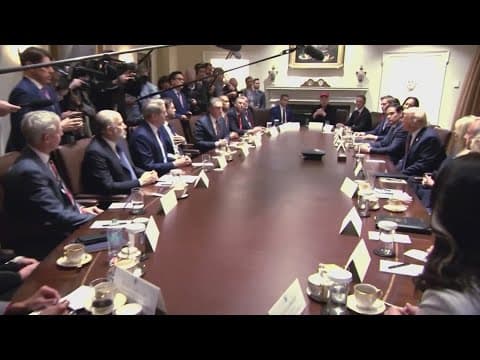 Cabinet members praise Musk's DOGE efforts