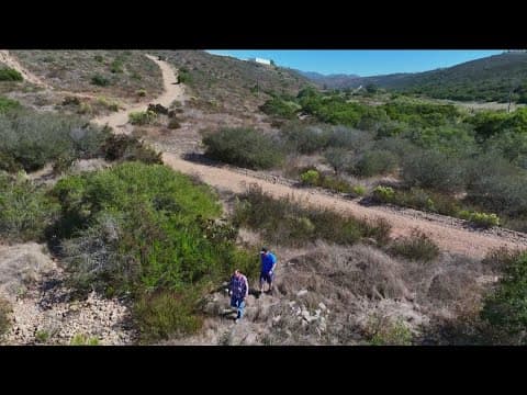 Cedar Fire burn scar is thriving 20 years later