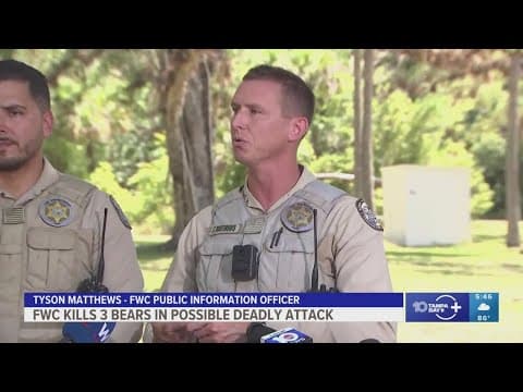 Florida wildlife officers kill 3 black bears in search for bear that killed man and dog
