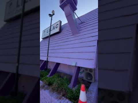 Mile High Asian Food Week featured coffee shop