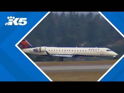 Delta Air Lines plane reportedly struck by lightning flying over Seattle