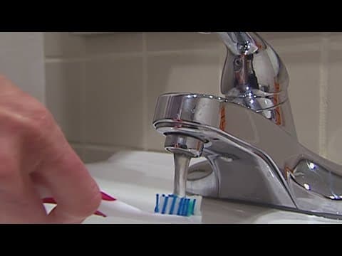 Microbes on your toothbrush