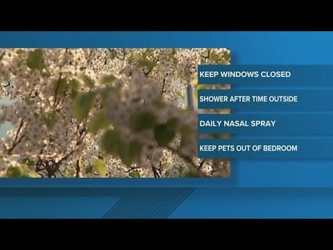 What you need to do to protect yourself from pollen