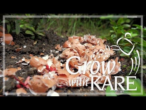 Grow with KARE: Using eggshells in your garden