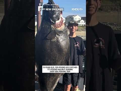 13-year-old kid catches 177-pound halibut #shorts