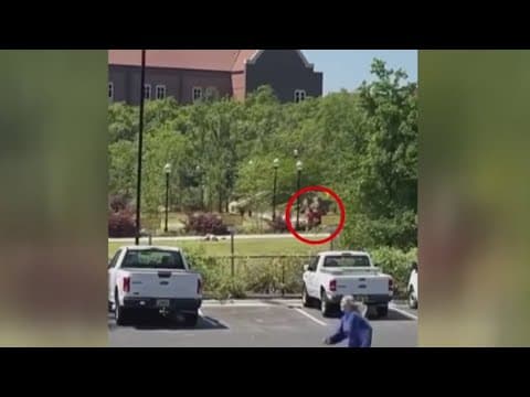 What we know about the FSU school shooting