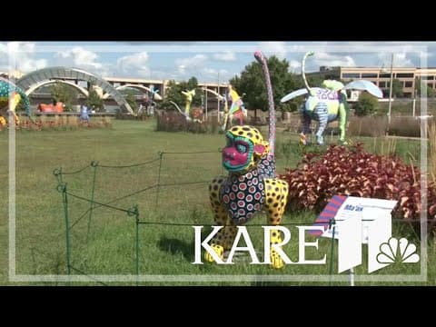 Nonprofit works to build Latino museum