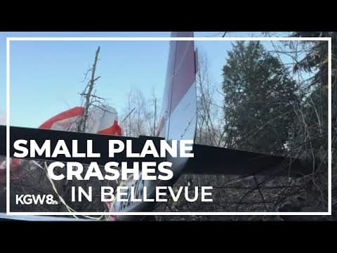 No injuries reported after small plane crashes in Bellevue residential area