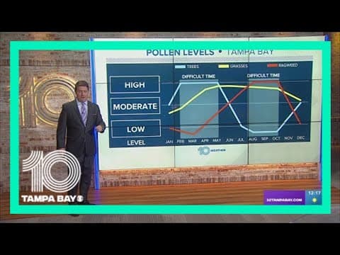 Tampa Bay area pollen levels | March 21, 2023