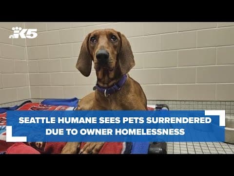 Seattle Humane sees steady amount of pets surrendered due to owners experiencing homelessness