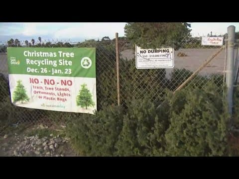 Where to drop off your Christmas tree in San Diego