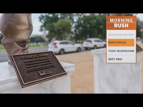 A statue of Trump and Epstein was installed on the National Mall