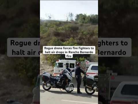 Drone forces fire fighters to halt air drops in San Diego fire.