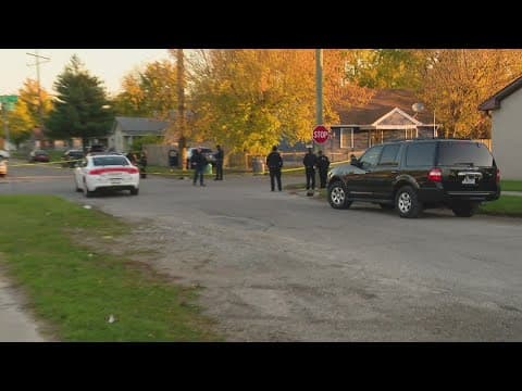 Person shot by IMPD officer while hiding in tree after fleeing traffic stop