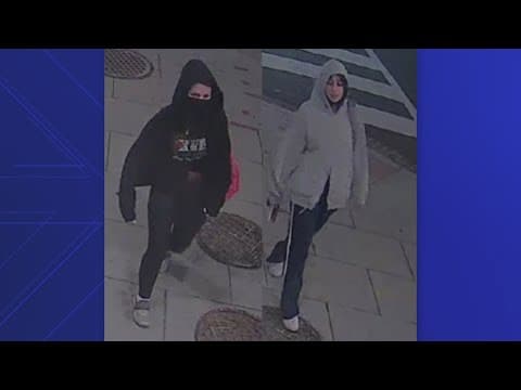 Do you recognize them? | Police say they spray painted antisemitic language outside an Israeli build