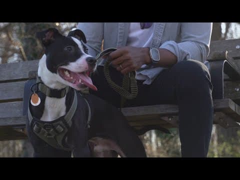 Happy National Adopt a Shelter Pet Day!