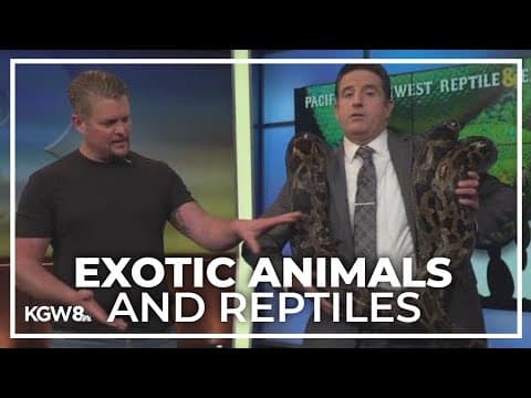 Reptile and exotic animal show returns to Hillsboro