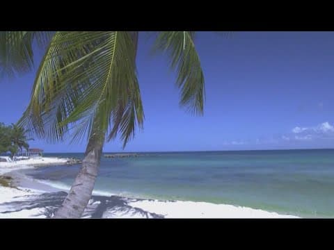 More women going on solo trips in 2025