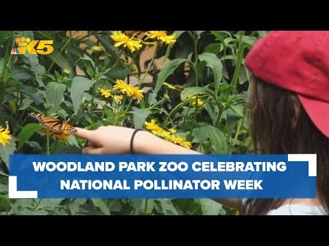 Be a bug hero: Woodland Park Zoo celebrating National Pollinator Week