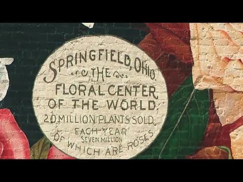 Springfield leaders working to help citizens feel safer