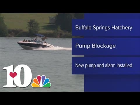 Pump blockage leads to substantial loss of rainbow trout