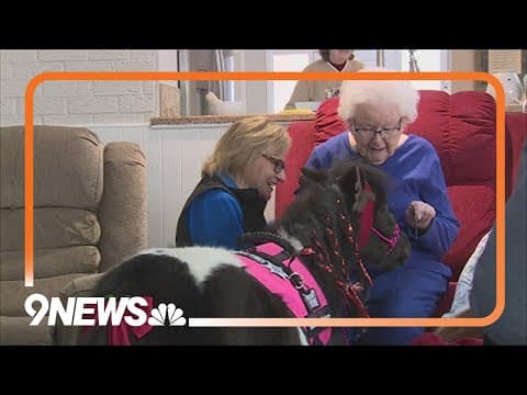 Therapy horses help provide comfort at Colorado nursing homes