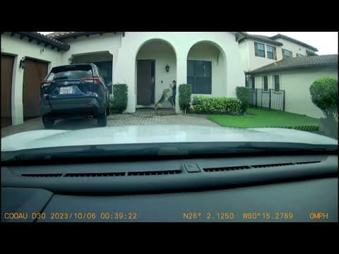 Florida woman recovering after dog attack was caught on camera while delivering groceries