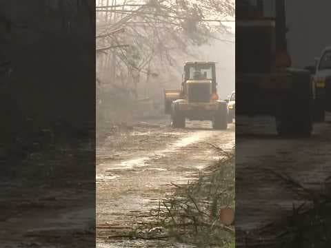 Trees and power lines down in Mississippi folllowing possible tornado #tornado