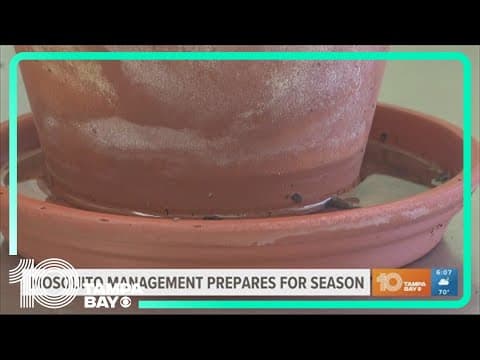 Peak mosquito season is upon us: Here's how Sarasota is preparing