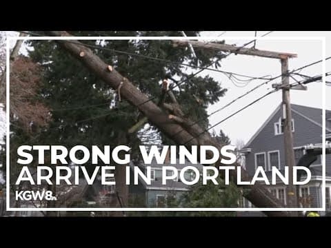 High winds bring down trees, knock out power