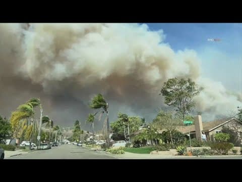 San Diego-based firefighters help battle Mountain Fire