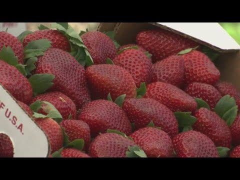 Ponchatoula Strawberry Festival brings food, music, eating contests