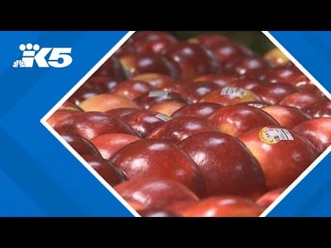 Washington State put in the center of U.S.-China trade war