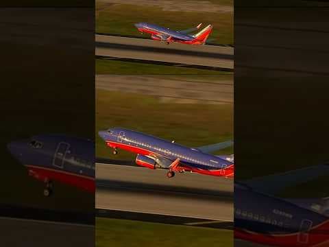 A Southwest Airlines flight leaving San Diego was forced to turn around after hitting a bird.