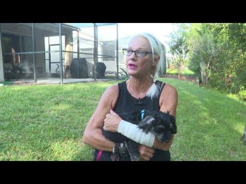 'I punched him in the eye' | This Florida woman beat up a gator to get her dog back