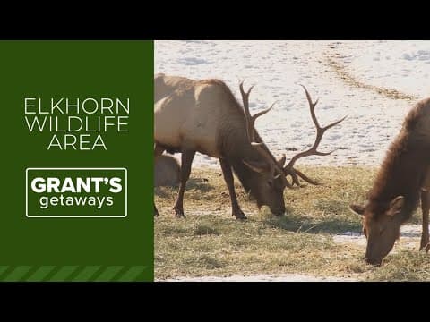 Eastern Oregon's Elkhorn Wildlife Area offers stunning views of nature and wildlife