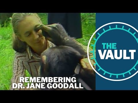 Remembering Jane Goodall and her deeply-rooted connections to Oregon | KGW Vault