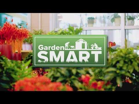 Del Ray Farmhouse Market Garden featuring plants, flowers